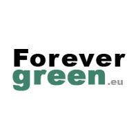 Forevergreen L’olivier, secret de toute beauté